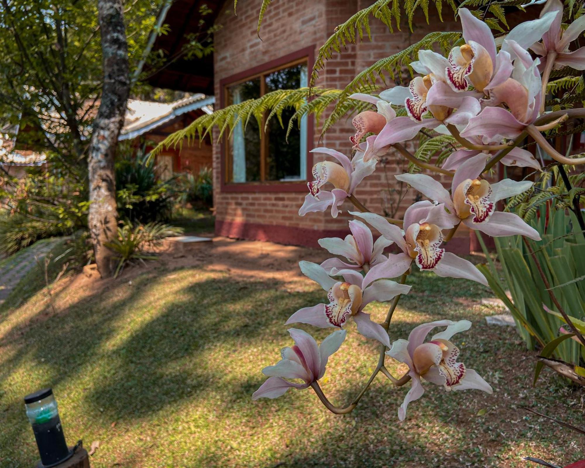 Vivie Pousada Monte Verde  Exterior photo